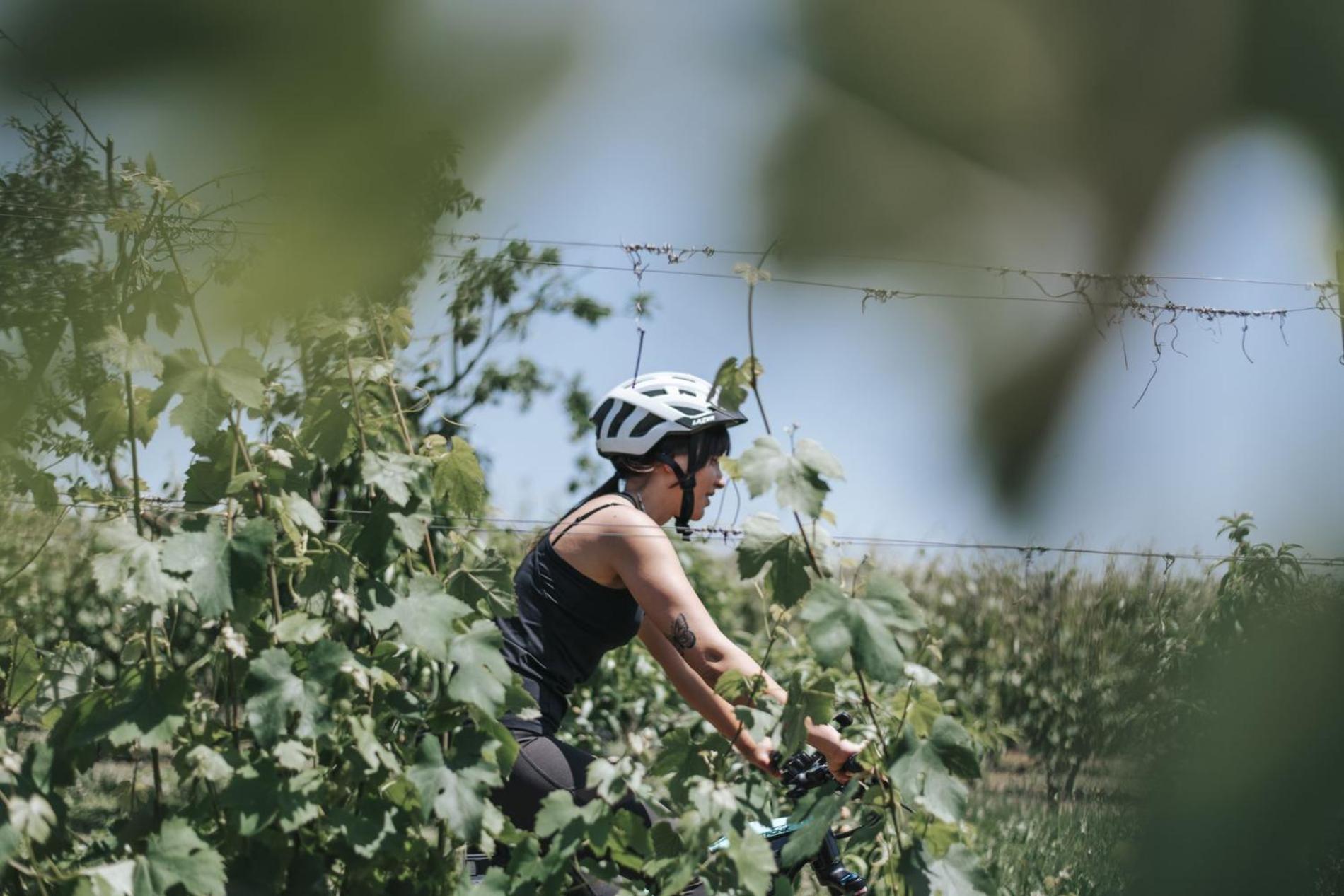 Vineho Lägenhet Barolo Exteriör bild
