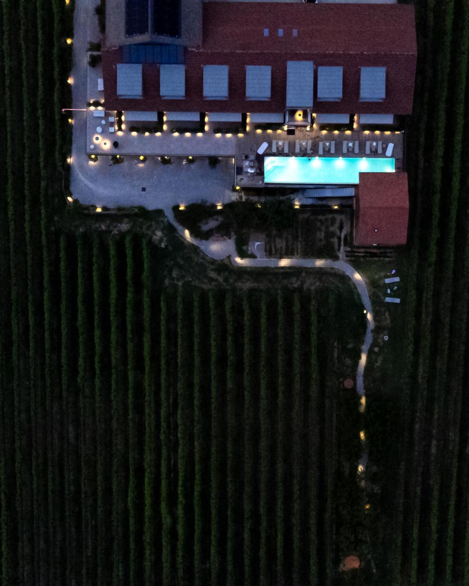 Vineho Lägenhet Barolo Exteriör bild
