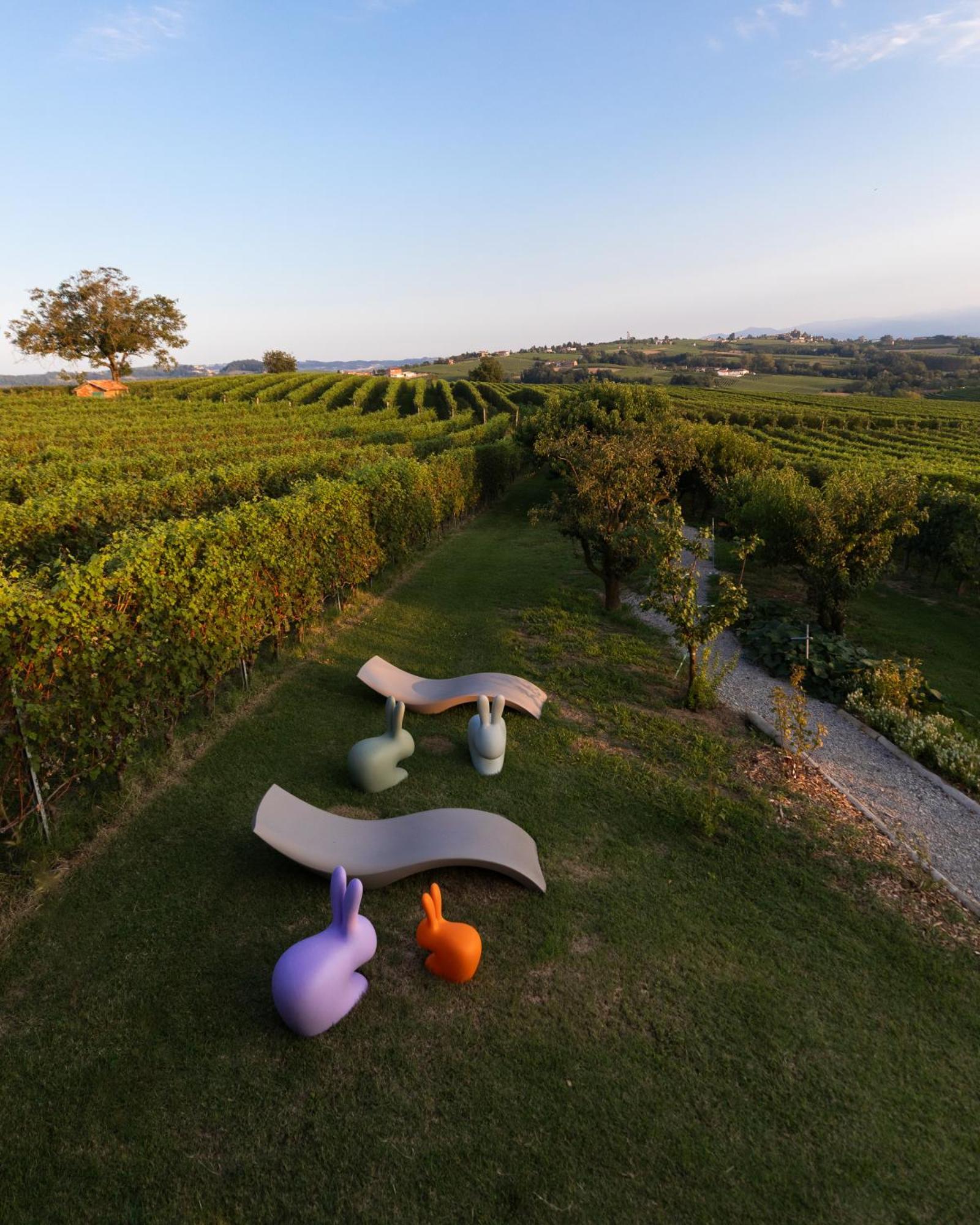 Vineho Lägenhet Barolo Exteriör bild